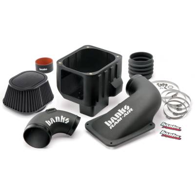 Banks Power Ram-Air Cold-Air Intake System, Dry Filter 42172-D